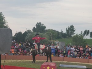 P8030050_s