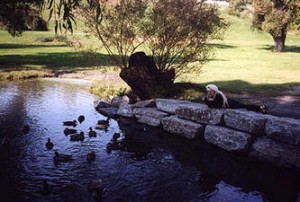 Suzy and Ducks