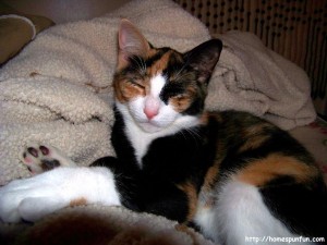 wp-1024_SleepingTerror_hs