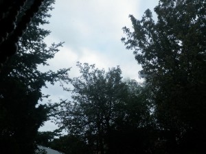 A cloudy day.