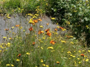 Along the road