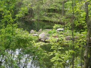 Dense and rocky