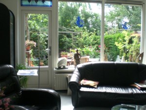 Droppie on adventure in his mistress's garden.