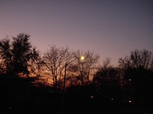 Fair lights and moon lit-up the evening.