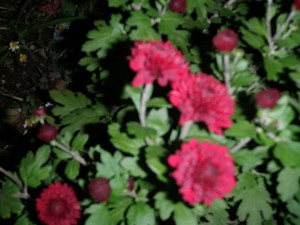 Treasures of the heart