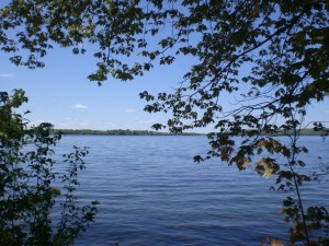 View in Blue