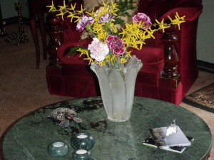 OLYMPUS DIGITAL CAMERA