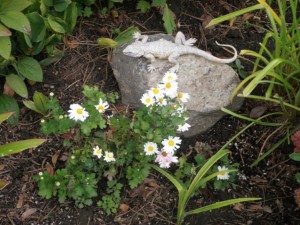slithering garden friend
