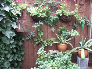 Fence Delight - Joop-Riet