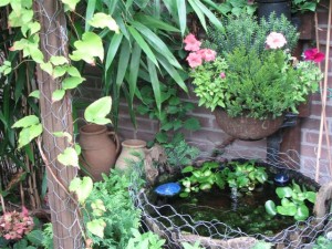 Little Pond - Joop -Riet