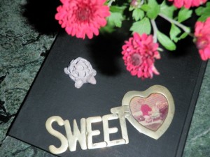 Sweethearts 1973