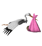 stork_baby_delivery
