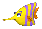 fish_blinking