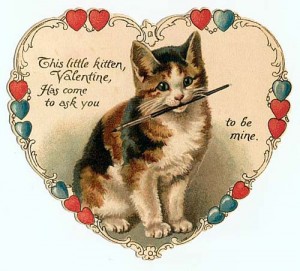 valentine_kitten