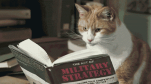 cat_reading