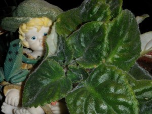 gift_grdn_fairy_child_ts