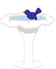 bird_bath_3
