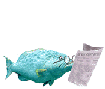 fish_reading
