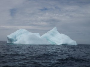Iceberg
