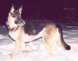 Xena in the Snow