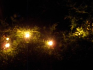 haunting_lights_halloween