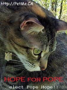 pets_pope_hope_2013_sj