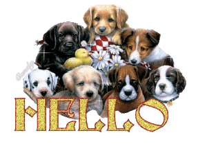 hello_puppies
