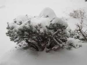let_it_snow