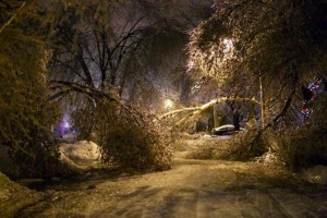 ON_brptn_ice_storm_dec_22_2013_gif