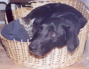 zoe_hope_look_alike_gif