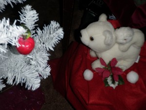 xmas_polar_bear_gift_sj