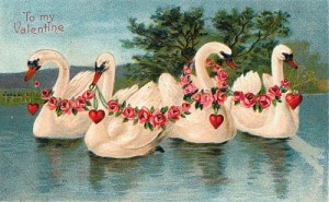 valentine_swans