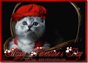 valentine_kitten_1