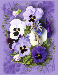 card_pansy