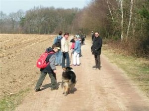 NL_bart_ dog_ sandy_gf