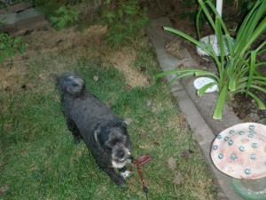 tippy's_fiesta_nook