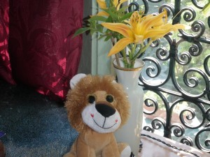 tippy's_lion_friend