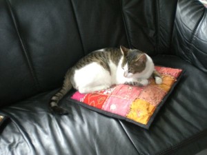 droppie_perfect-pose