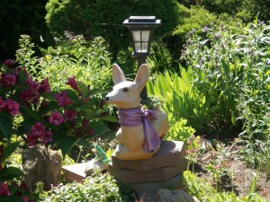 deer_lantern_frog