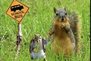 squirrel_schoolbus_sign