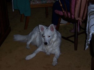 casey_lydia_mays_birthday_004