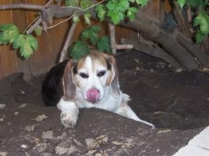 heather-jake-hide-out