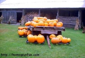 suzys_pumpkins