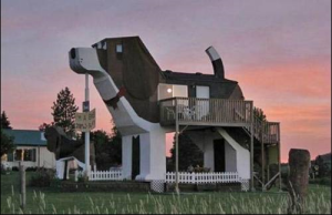 dog_power_house