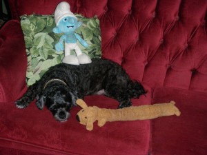 tippy_and_playmates_resting