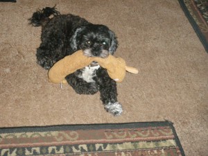 tippy_welcomes_visitors