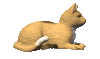 cat_lying_down