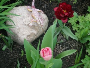 white_stone_frnt_grdn_1