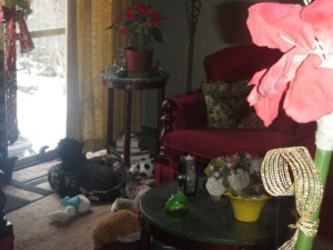 tippy_snowflake_watch_2017